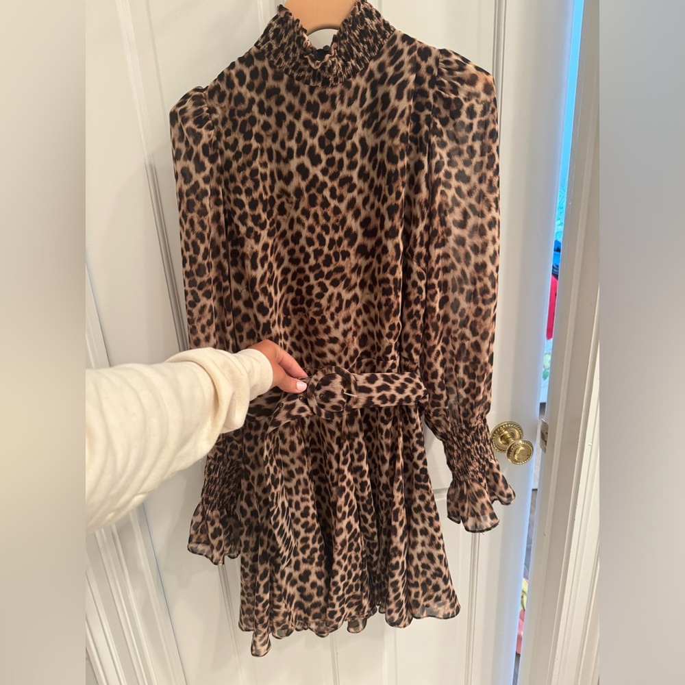 Zara Cheetah Dress